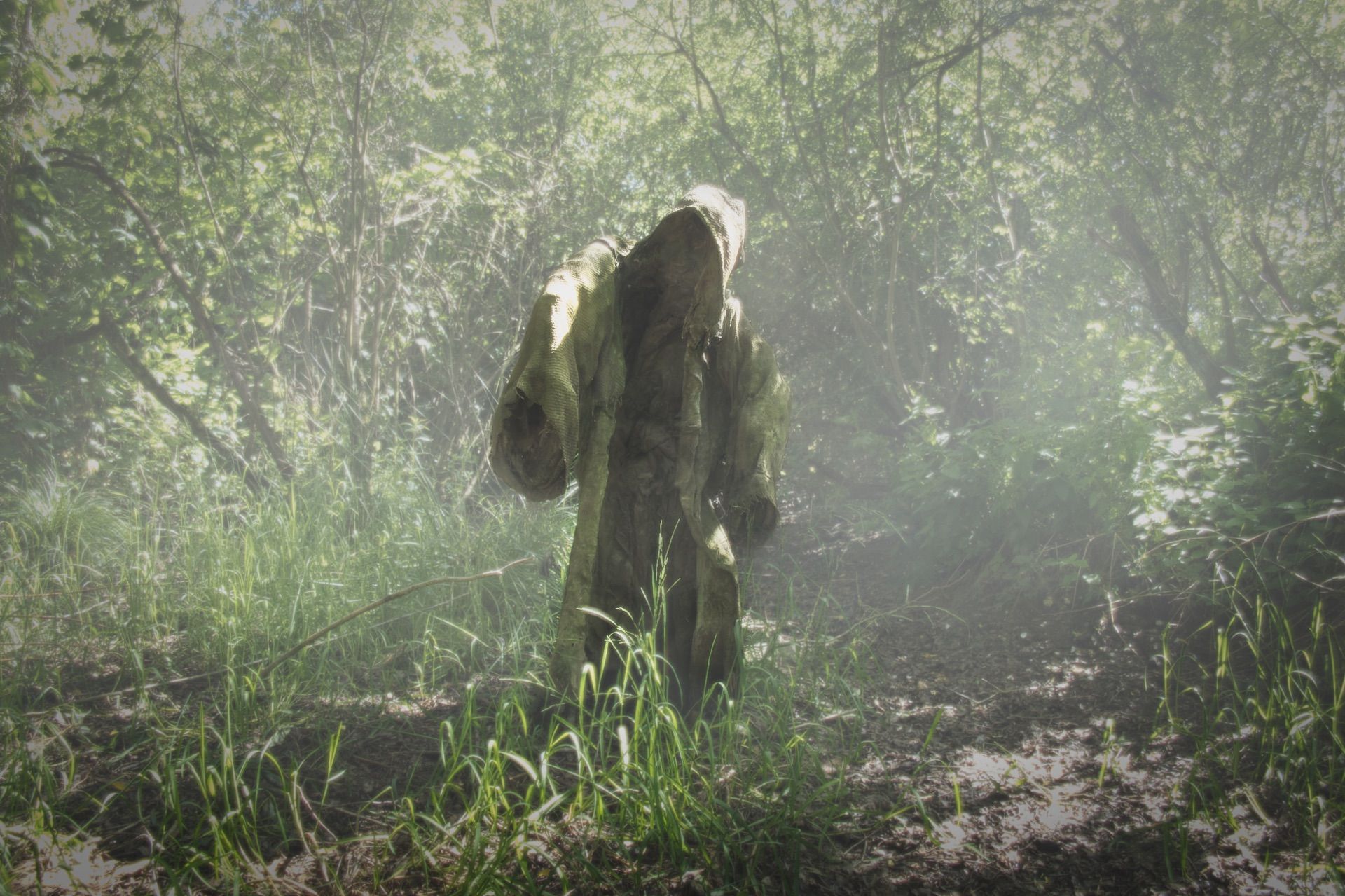 Der Moorgeist im Nebel