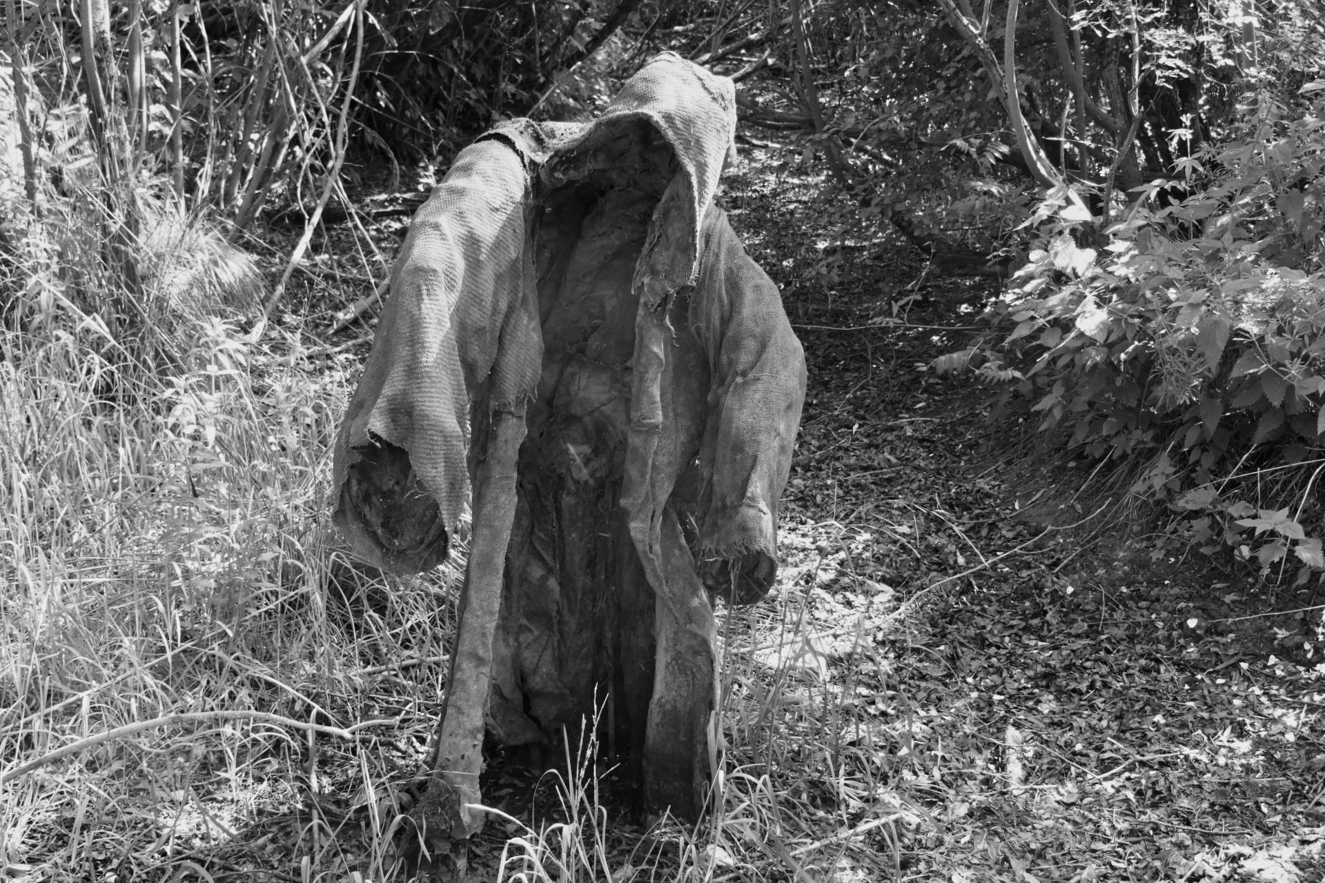 Der Moorgeist in schwarz-weiß