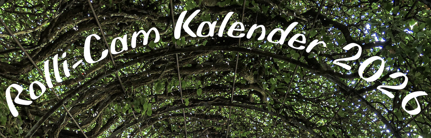 Schrift Rolli-Cam Kalender 2026 im Torbogen