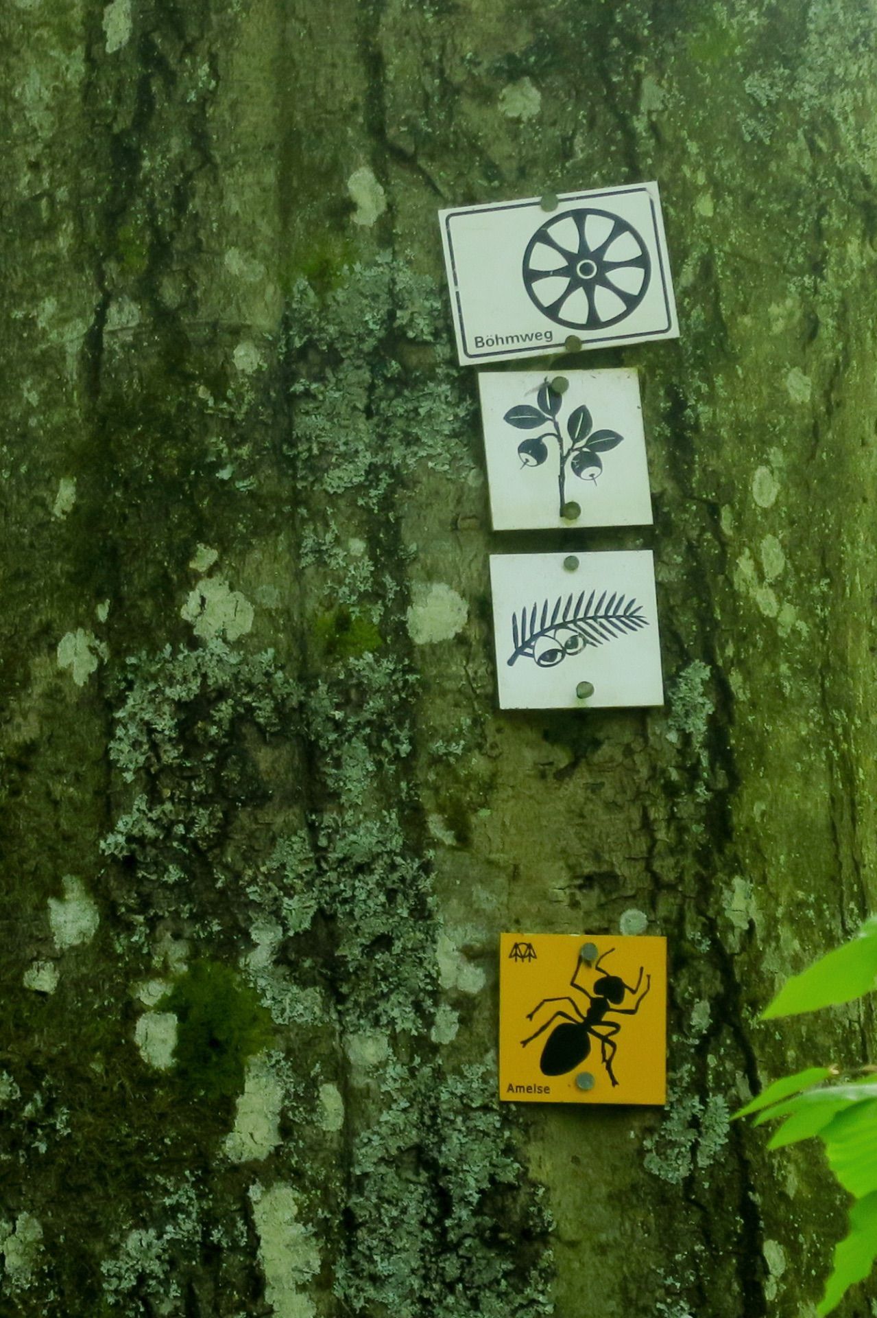 Rundweg Ameise (unten)