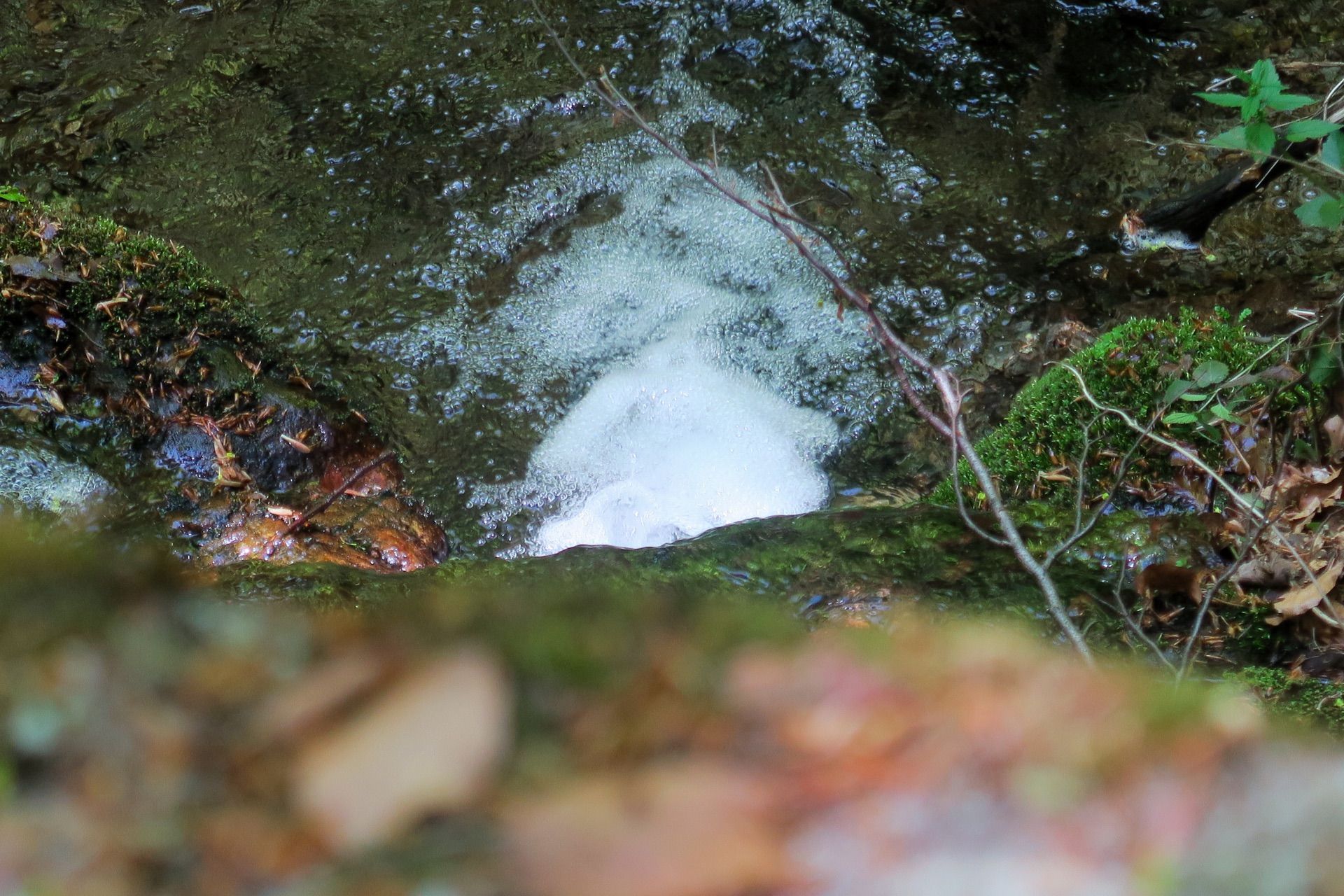 Blick hinunter zum Steinbach