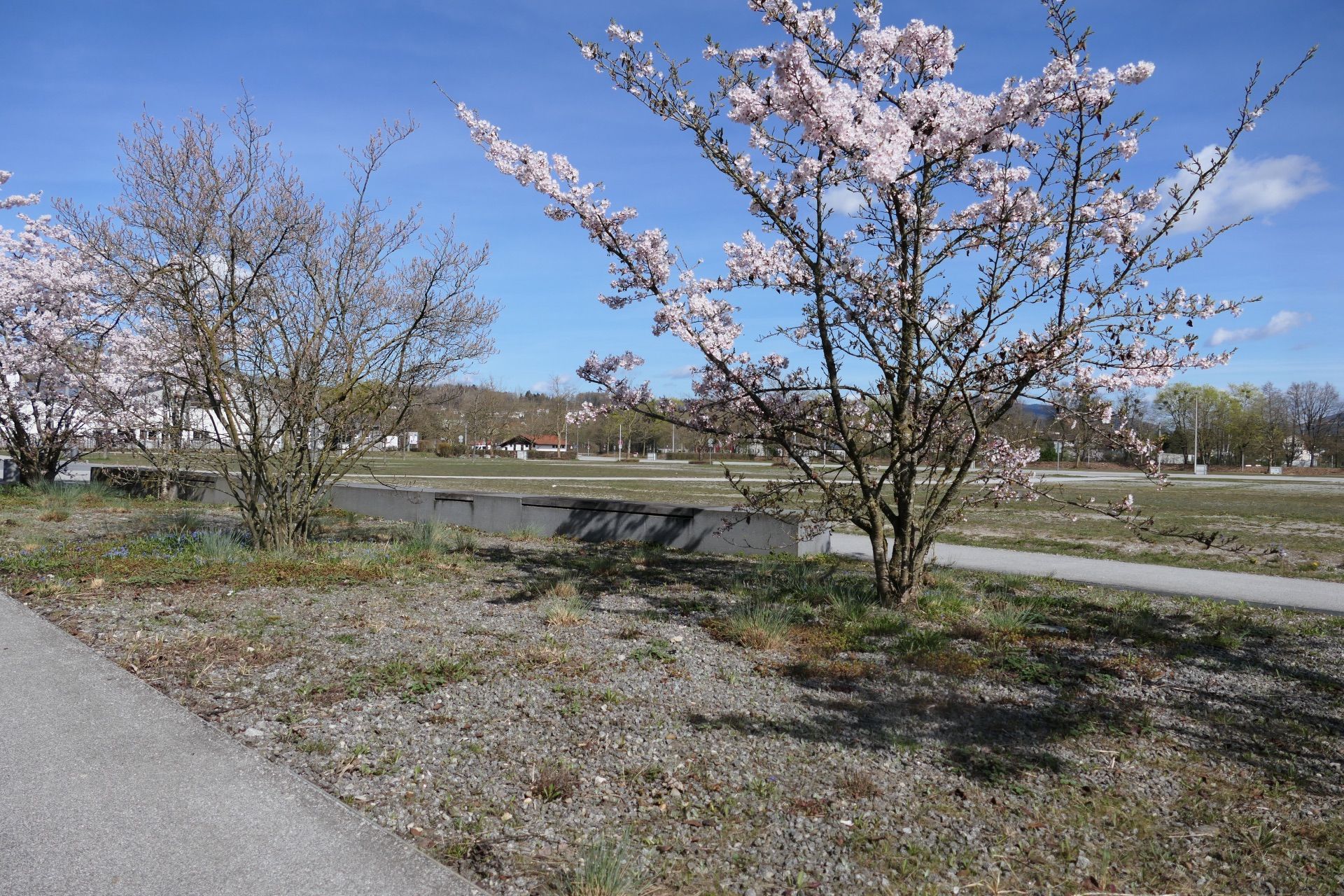 Frühling